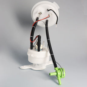 16117260642 16117260647 Fuel Pump Complete Pump for BM 5 Serie F18